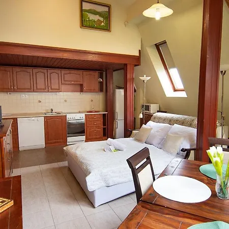 Zsofia 维斯普雷姆